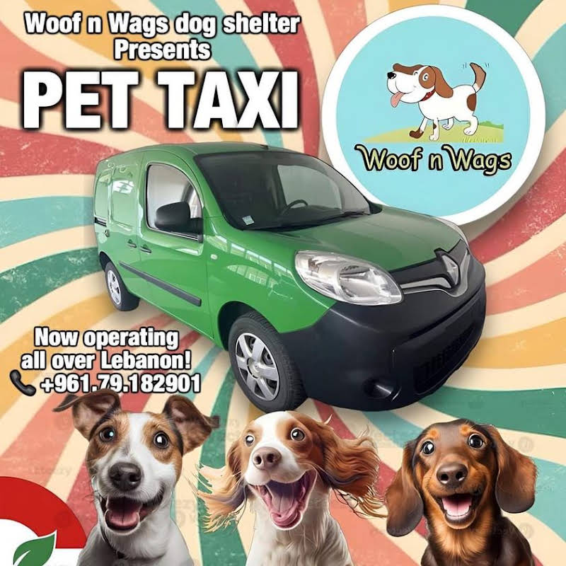 Woof N' Wags Pet Taxi poster: now operating all over Lebanon, +961 79 182901