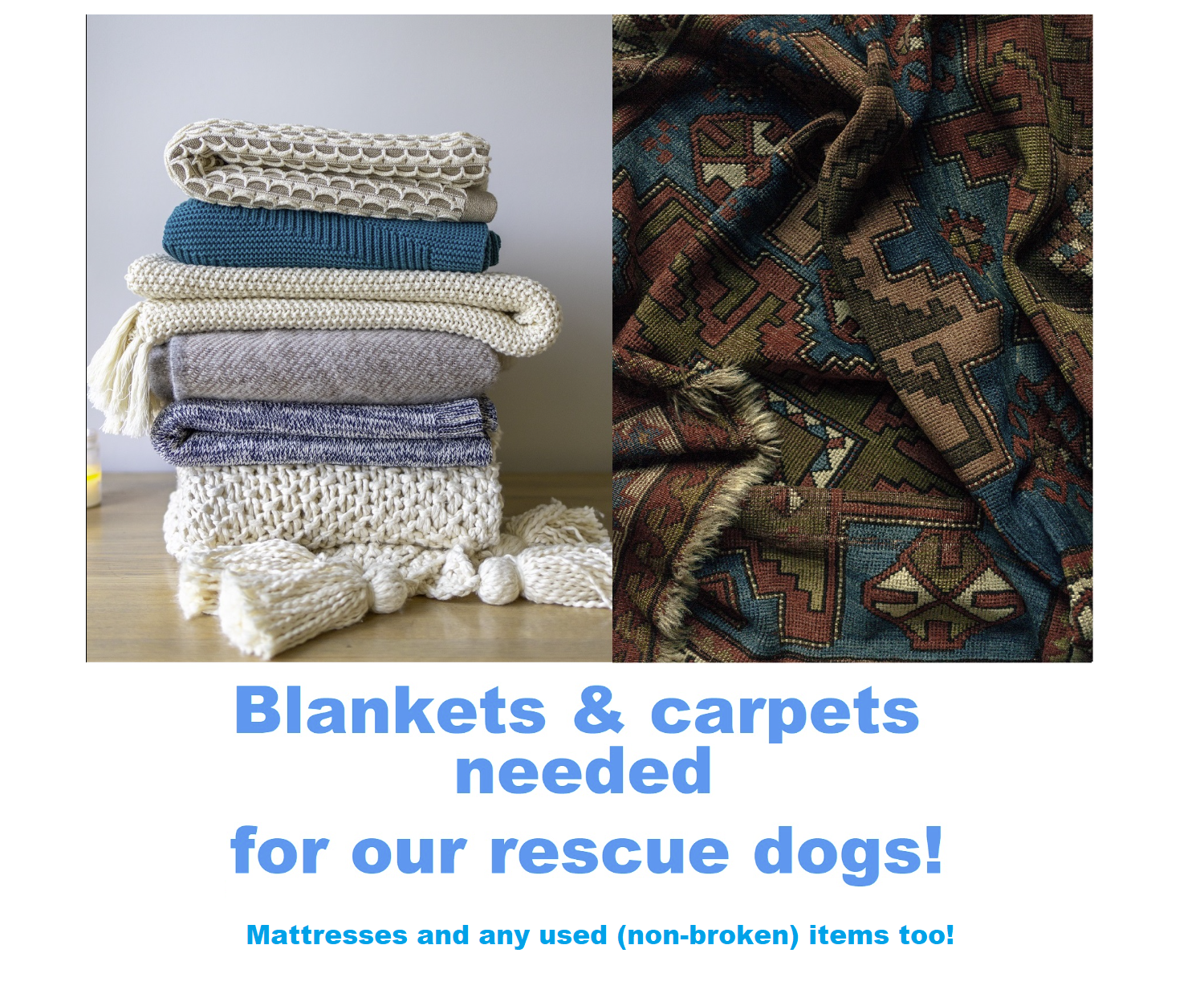 Blankets and carpets needed for our rescue dogs &mdash; mattresses and any used, non-broken items too