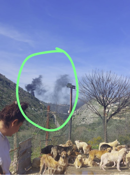 Smoke rising over the hills beside the Woof N' Wags shelter, February 2024