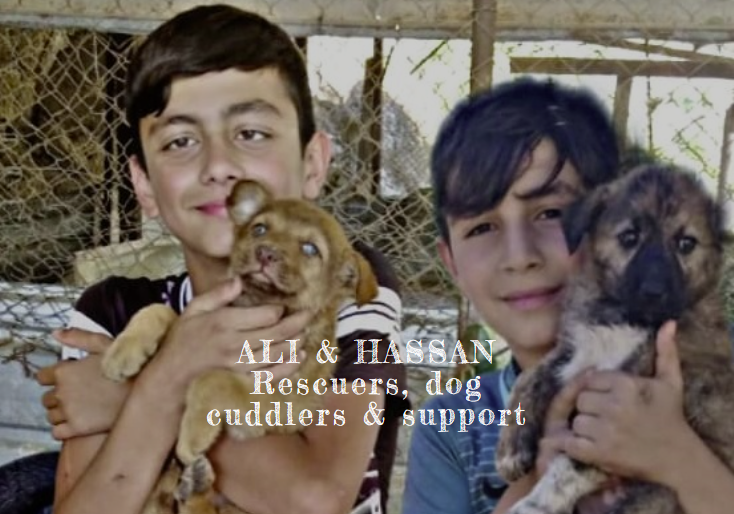 Ali and Hassan, rescuers and dog cuddlers, each holding a puppy